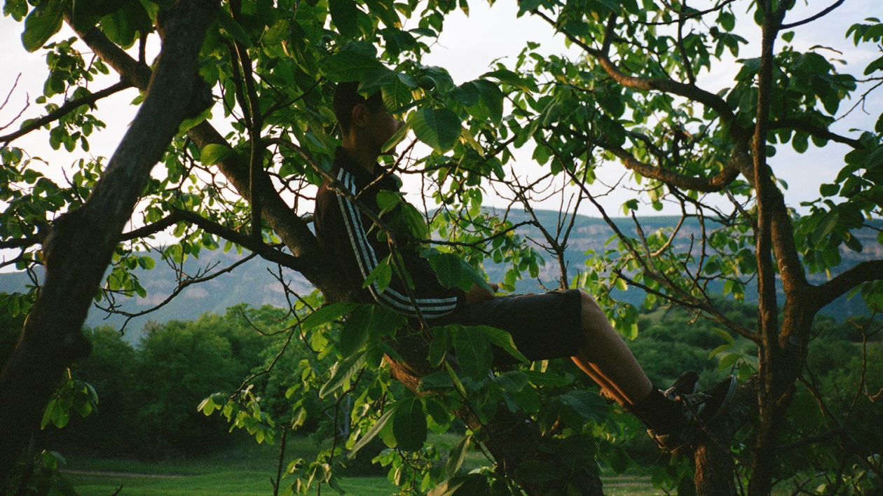 Гаджирамазан отдыхает на дереве